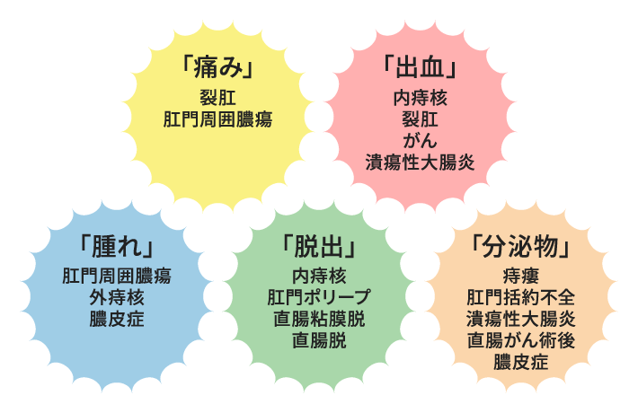 公式通販 - 人気アイテム多数 大腸・肛門外科 健康+医学