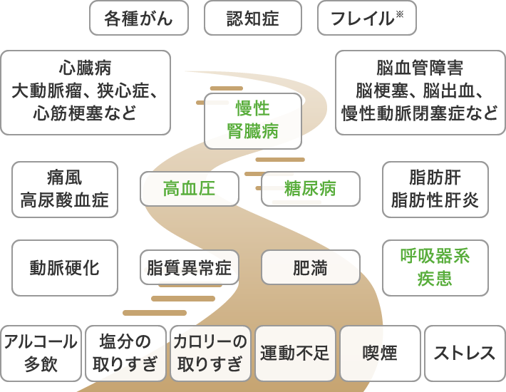 あらゆる疾患に対応